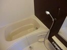 シャンディ・イースト
