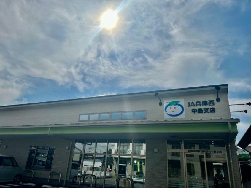 JA兵庫西中島支店(銀行)まで249m シャンディ・イースト