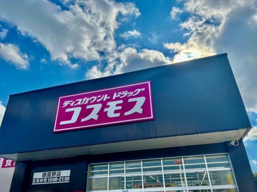 ディスカウントドラッグコスモス御国野店(ドラッグストア)まで522m エクセレント・御着