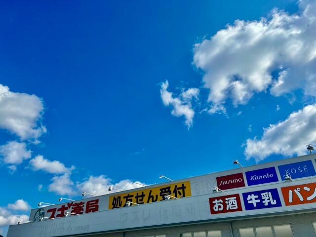 スギ薬局姫路花田店(ドラッグストア)まで1208m ジュピターⅡ
