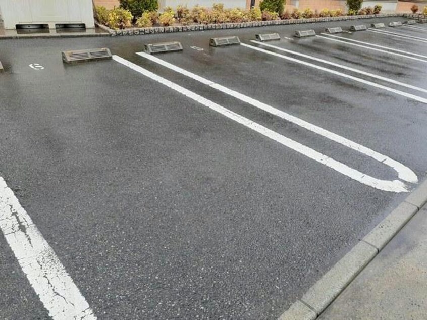  カロス　イーリス