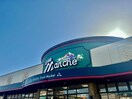 ボンマルシェ英賀保店(スーパー)まで107m ラフィネコートⅡ