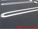  ウィステリア