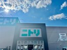 ニトリ姫路花田店(電気量販店/ホームセンター)まで1182m イーストウッドⅡ