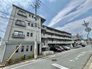  ドール辻井