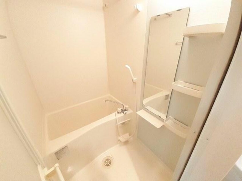  スプリング　セブン