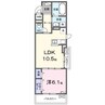 シエルガーデン 1LDKの間取り