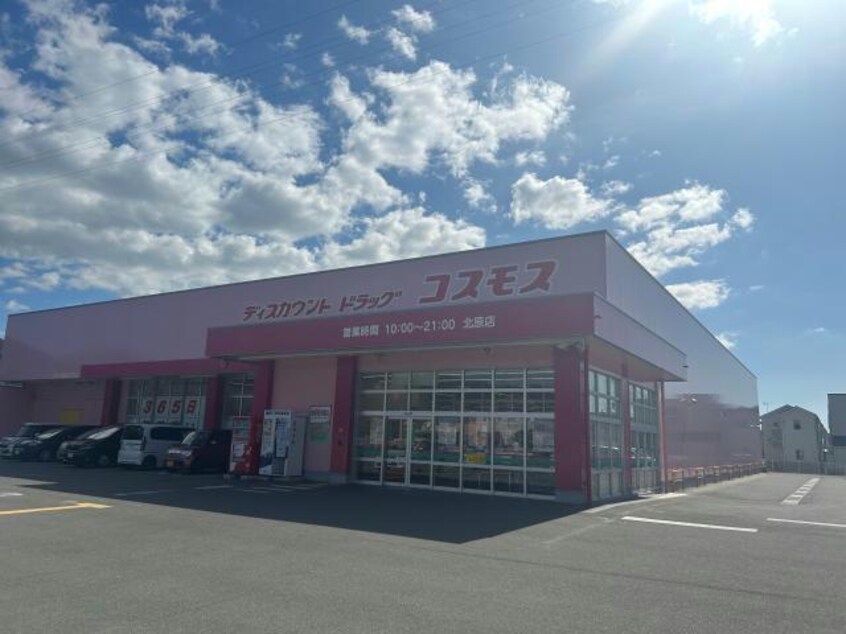 ディスカウントドラッグコスモス北原店(ドラッグストア)まで1130m サニーコート