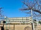 姫路市立英賀保小学校(小学校)まで268m アムール英賀保