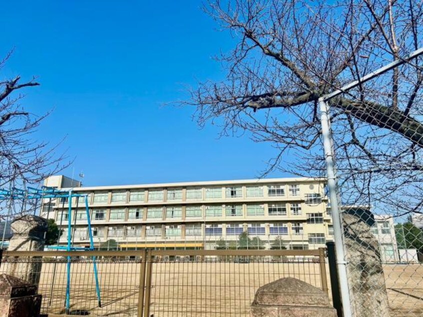 姫路市立英賀保小学校(小学校)まで268m アムール英賀保