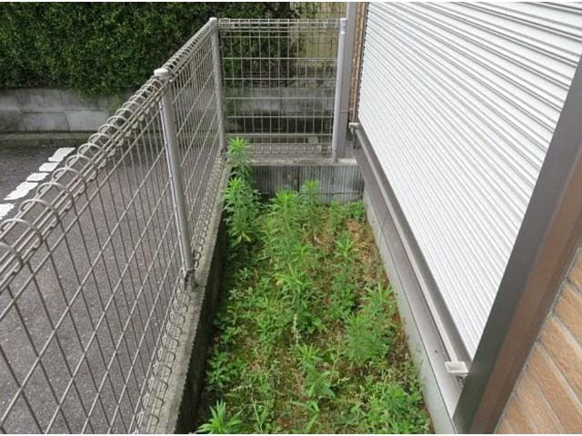  ラ・スコレール水上