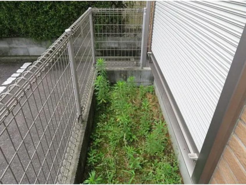  ラ・スコレール水上