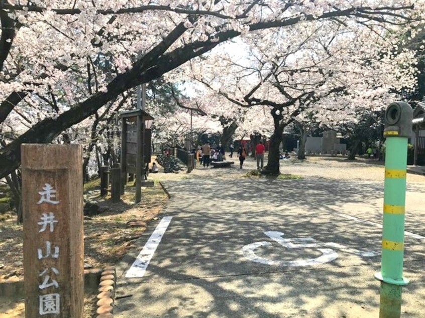 公園まで960m※走井山公園 三岐鉄道北勢線/馬道駅 徒歩4分 2階 築20年