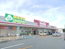 スーパーまで800m※マックスバリュ郷津店 エスポワールＭⅡ