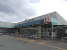 スーパーまで900m※Ａーコープ嬉野店 藤田アパート