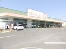 スーパーまで400m※ぎゅーとら　ラブリー持川店 コーポ新町D