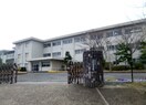 中学校/中等教育学校まで1700m※四日市立常磐中学校 近鉄湯の山線/中川原駅 徒歩13分 2階 築32年