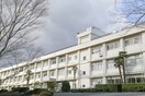 高等学校/高等専門学校まで900m※三重県立四日市農芸高等学校 伊勢鉄道/河原田駅 徒歩8分 1階 築2年