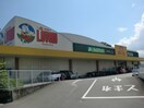 スーパーまで500m※ぎゅーとら　ラブリー神田久志本店 高橋貸家