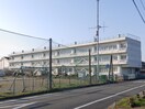 小学校まで3300m※明和町立大淀小学校 プルーリオン　Ｂ棟