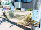  シェレナ山下　Ⅷ棟