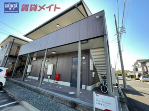 ディアハイビスカス