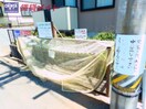  シェレナ山下　Ⅷ棟