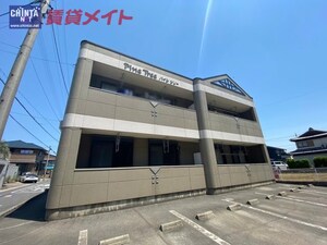 ＰｉｎｅＴｒｅｅ