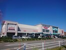 ニトリ瀬戸店(電気量販店/ホームセンター)まで1406m LE COCON三郷