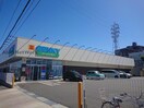 ゲンキー晴丘東店(ドラッグストア)まで804m カメリア白山