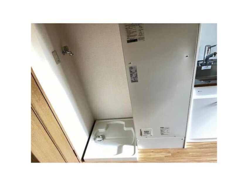  花水木
