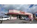 ファッションセンターしまむら瀬戸店(ショッピングセンター/アウトレットモール)まで1238m ポプラ　ハウス