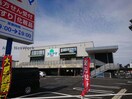 ドラッグスギヤマ三郷西店(ドラッグストア)まで713m 秀乃郷