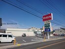 V・drug三郷店(ドラッグストア)まで686m レオパレスクレストール25