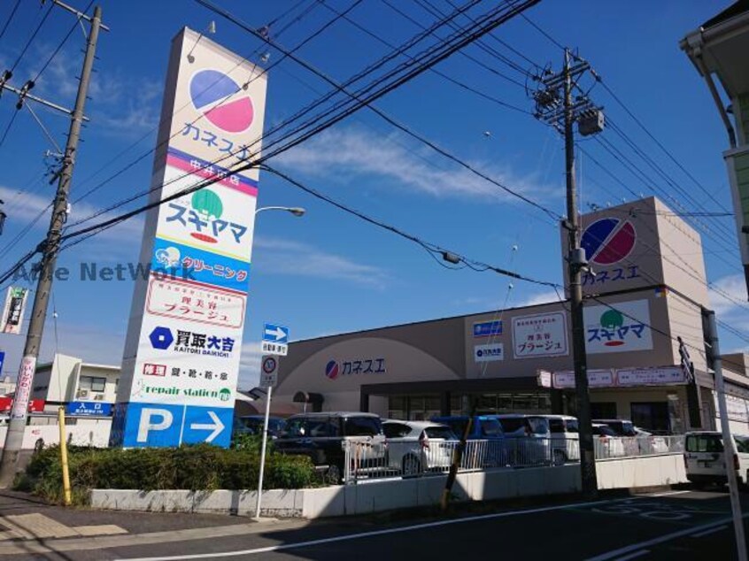 ドラッグスギヤマ三郷店(ドラッグストア)まで293m パレス明和