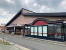 生鮮館やまひこ尾張旭店(スーパー)まで725m エリーゼ