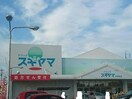 ドラッグスギヤマ庄中町店(ドラッグストア)まで1629m レオパレスカスミ