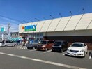 ゲンキー西長根店(ドラッグストア)まで591m レオネクストカーネリアンハイツ