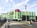 エディオンイオンモール長久手店(電気量販店/ホームセンター)まで1481m ストリーム氏神前