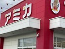 アミカ守山大森店(スーパー)まで734m パレスエントピア