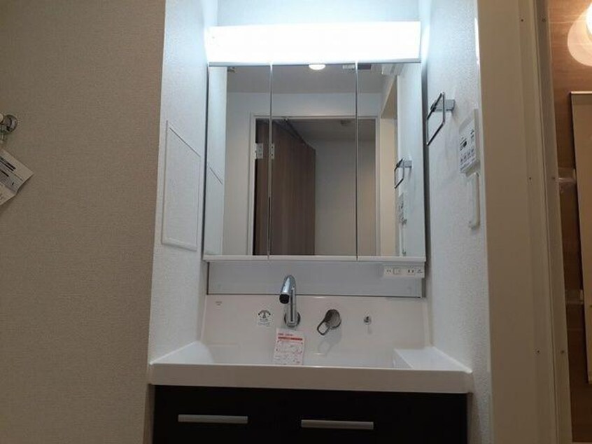  サマン・ツリー