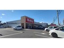 V・drug尾張旭店(ドラッグストア)まで455m メゾンM