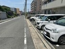  アコルト・シェーン