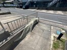  アコルト・シェーン