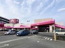 アオキスーパー長久手店(スーパー)まで671m アコルト・シェーン