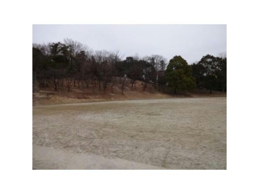 公園 こばやしハイム