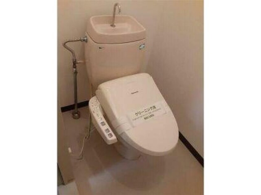  スプルース山口