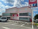 ダイソー守山吉根店(ディスカウントショップ)まで1168m グラス　ウィン