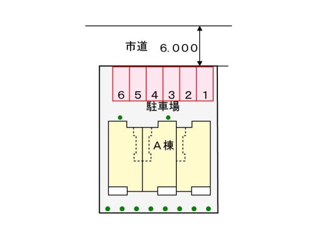  グリーン　フォレスト