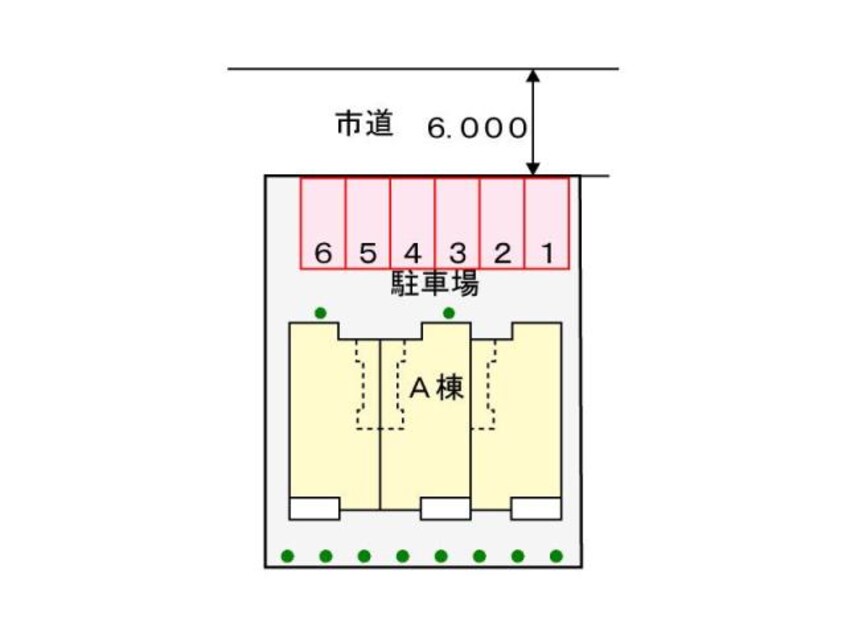  グリーン　フォレスト